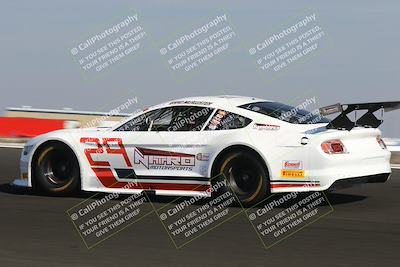 media/Feb-23-2025-CalClub SCCA (Sun) [[bfce4a12aa]]/Group 7/(Quallifying Race)Turn 3/